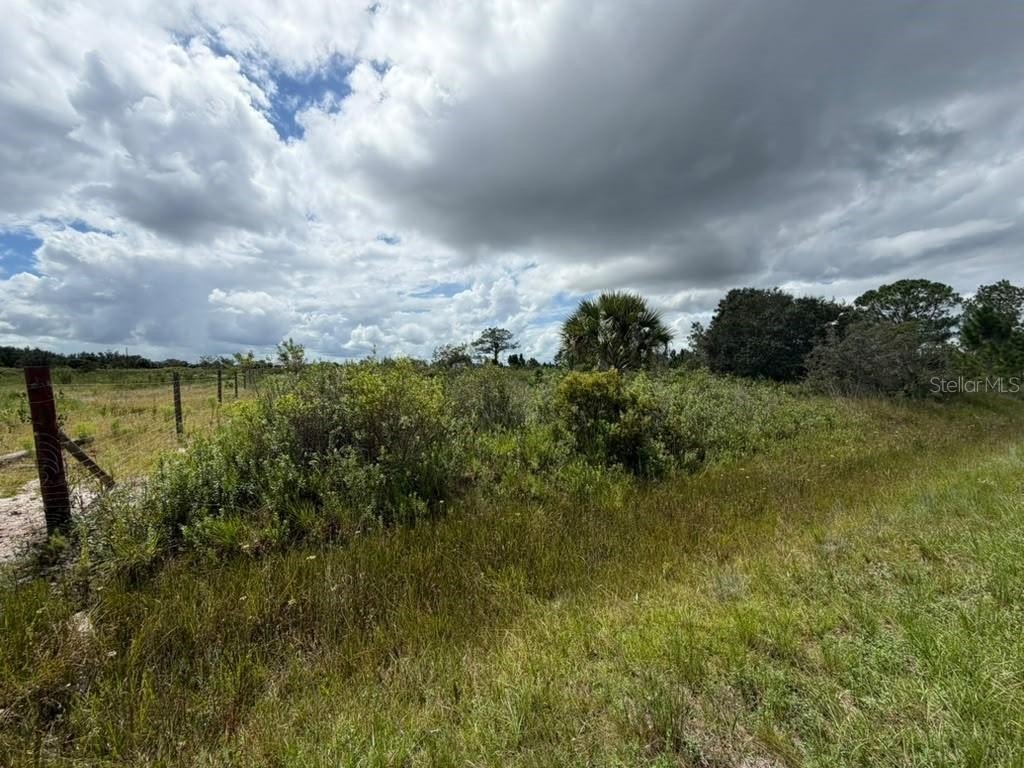 Picture 4