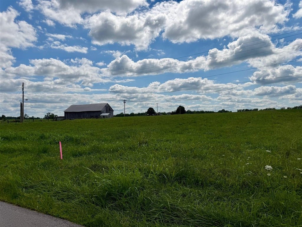 Picture 20