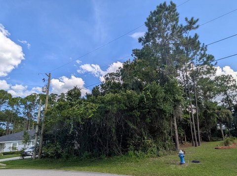 Land, PALM COAST, FL
