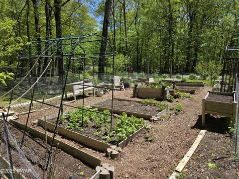 Wooded Lot in Hemlock Farms