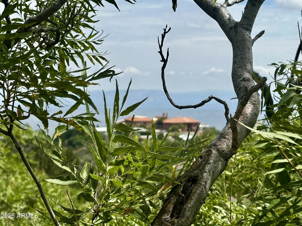 Picture 3