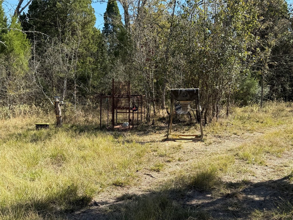 Picture 5