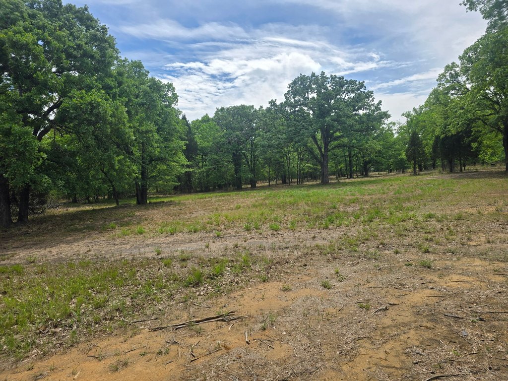 Picture 21