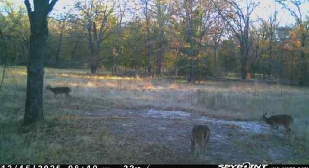 Picture 16