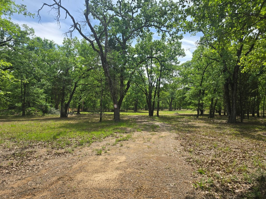 Picture 28