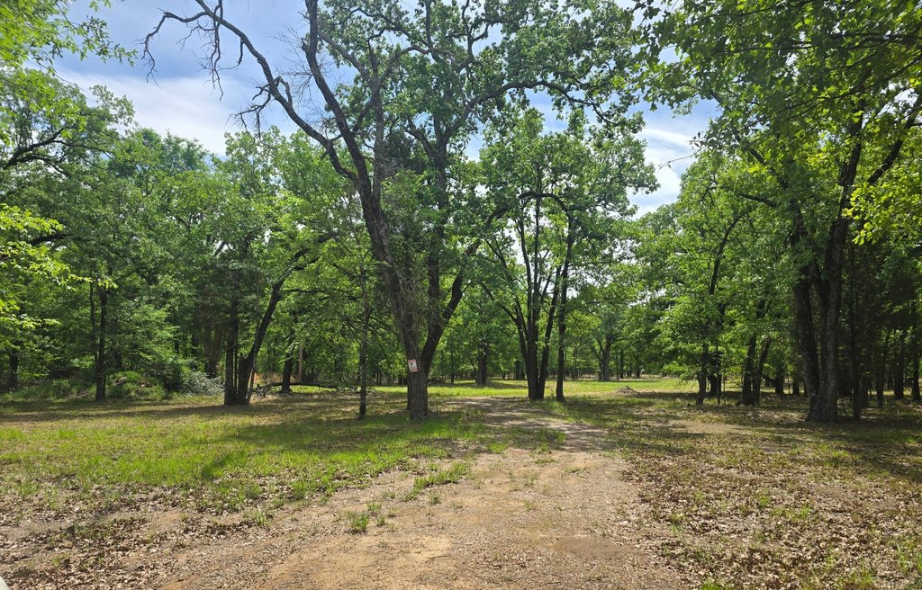 Picture 30