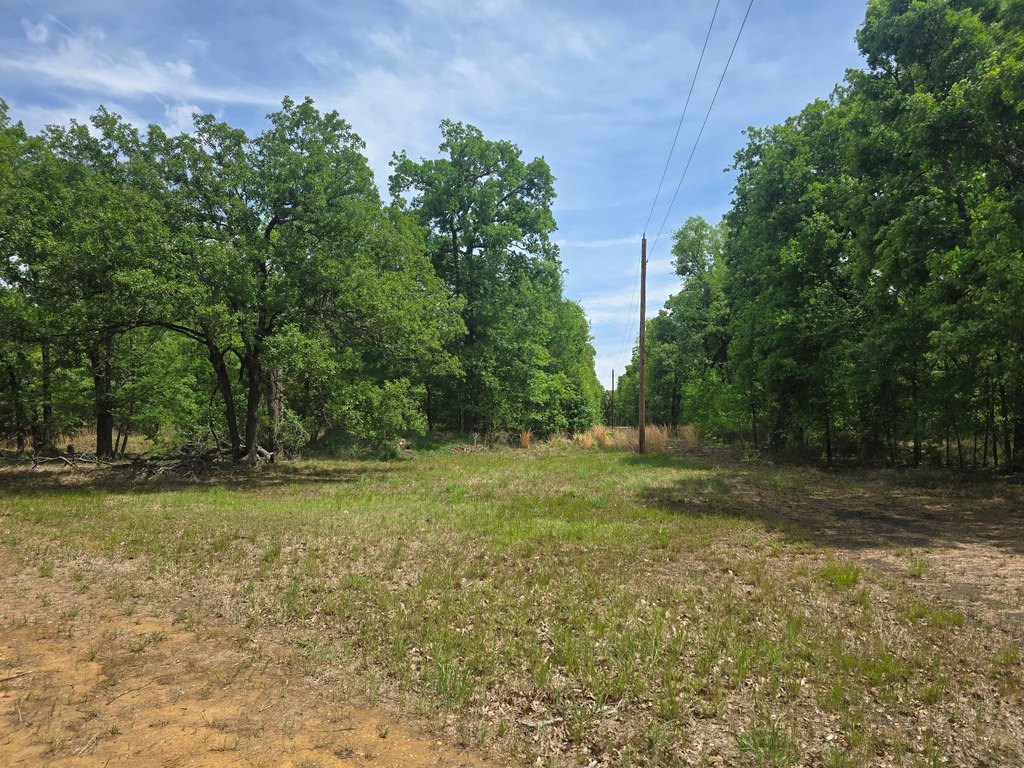 Picture 24