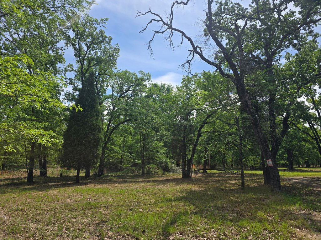 Picture 27