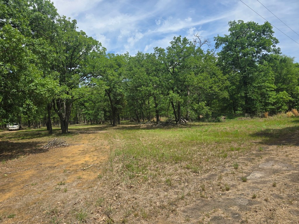 Picture 23