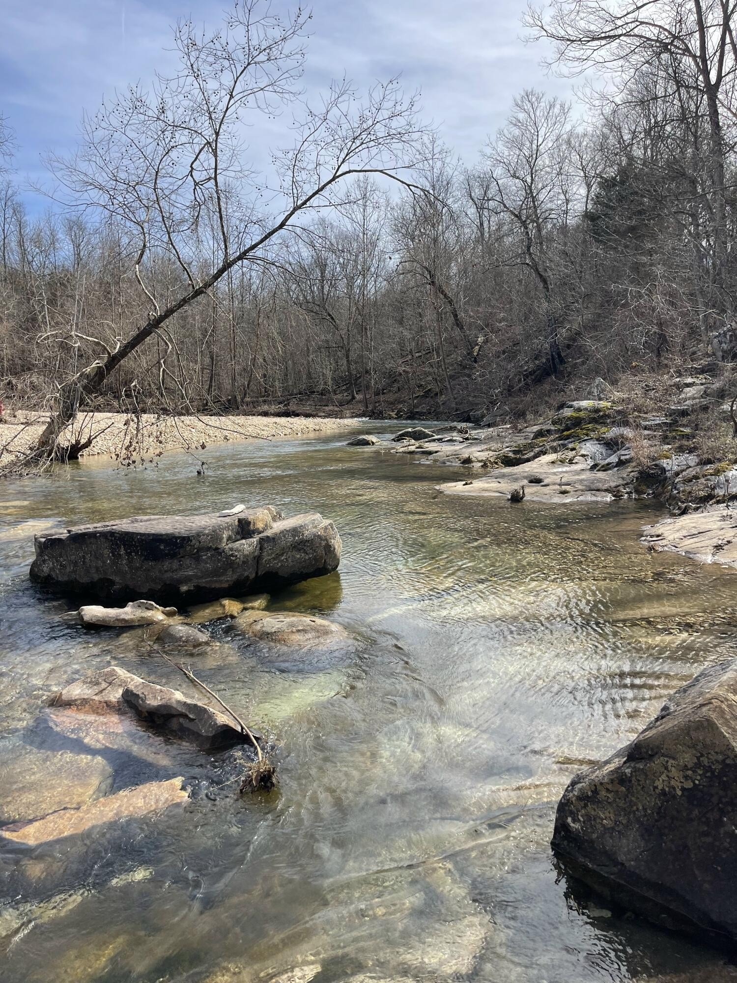 102 Acres with Beaver Creek