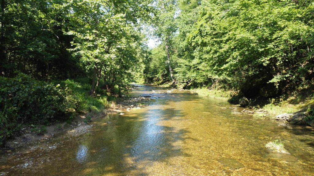 Picture 48
