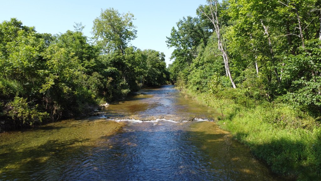 Picture 49