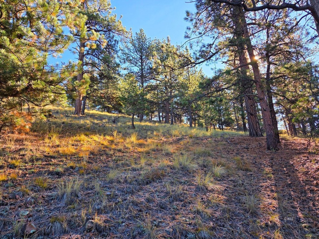 Picture 30