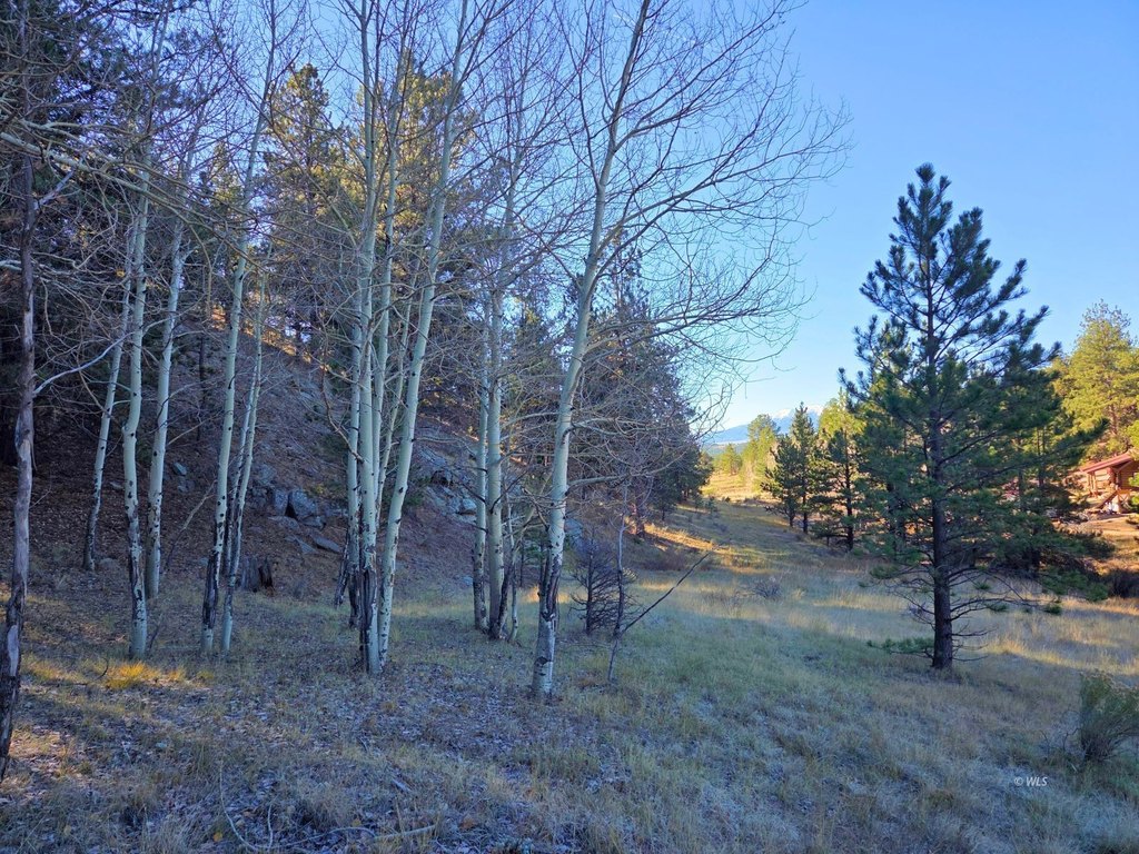 Picture 22