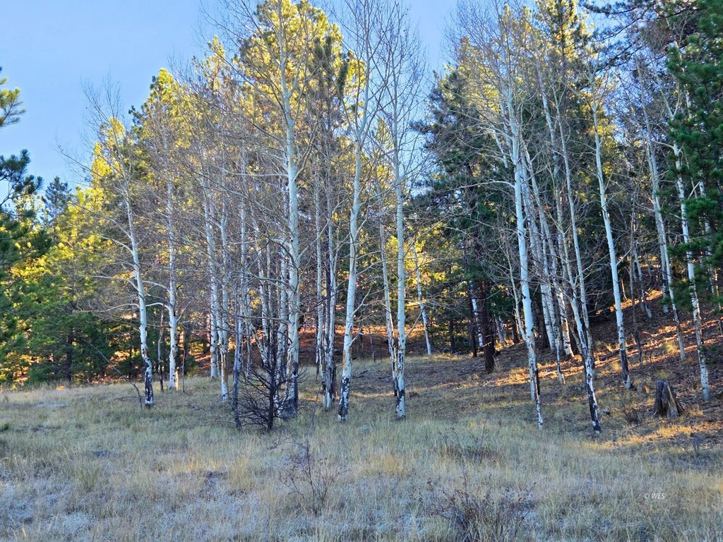 Picture 9