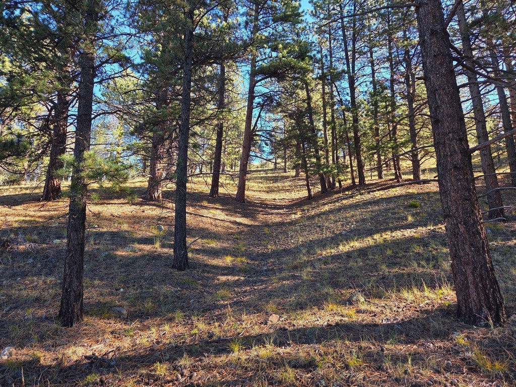 Picture 16