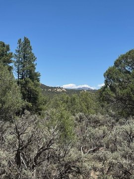 Recreational Land Near Rio Chama