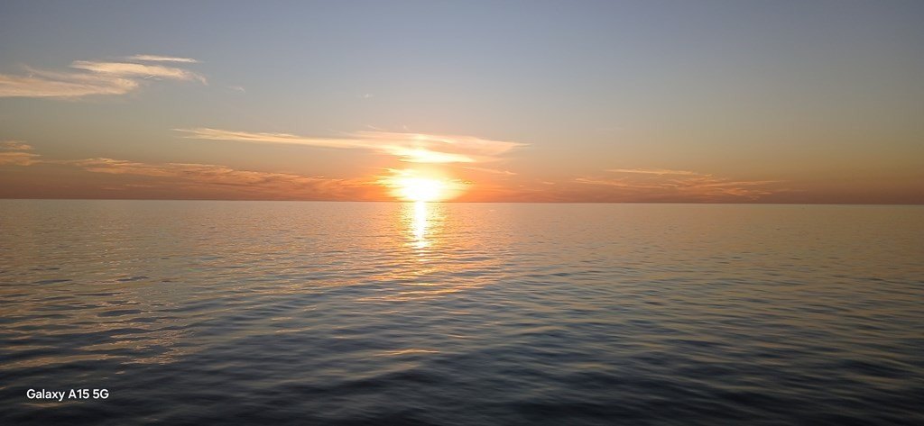 Picture 10