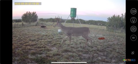 20 Acres Agricultural Land, Lampasas