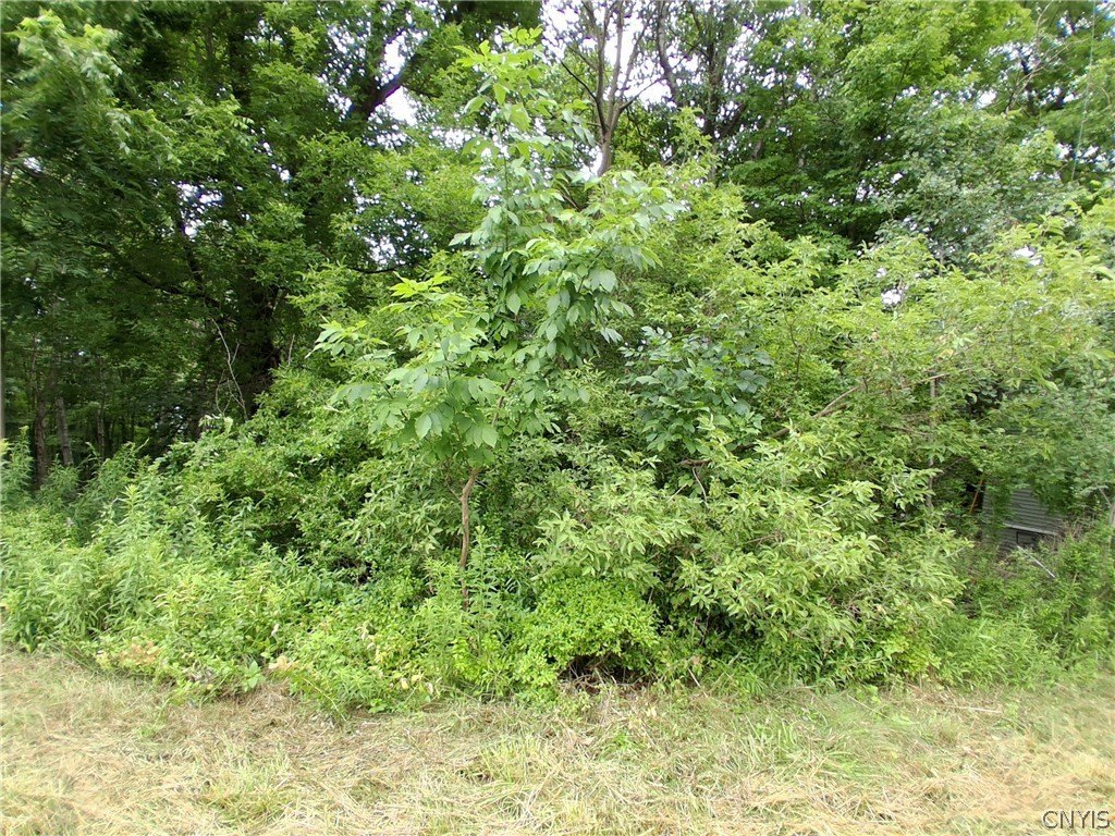 Picture 5