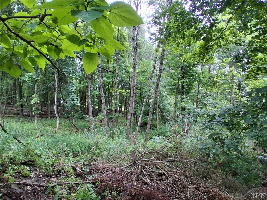 Picture 4