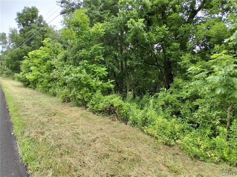 LAND - Endicott, NY