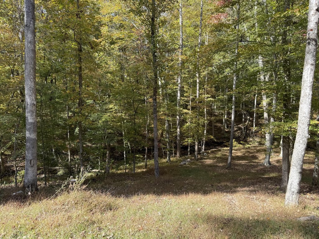 Picture 13