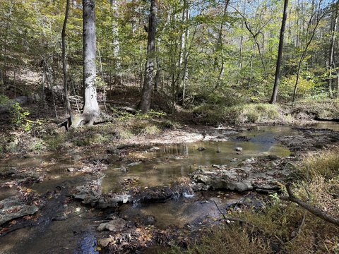 LAND - Somerset, KY