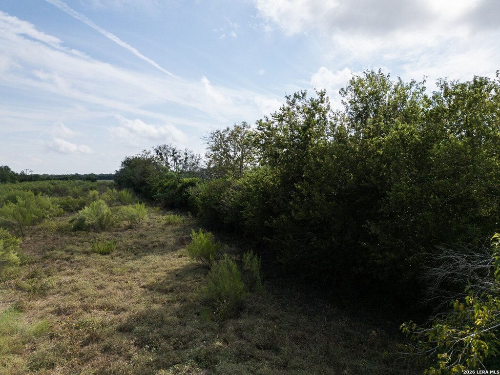 Picture 26