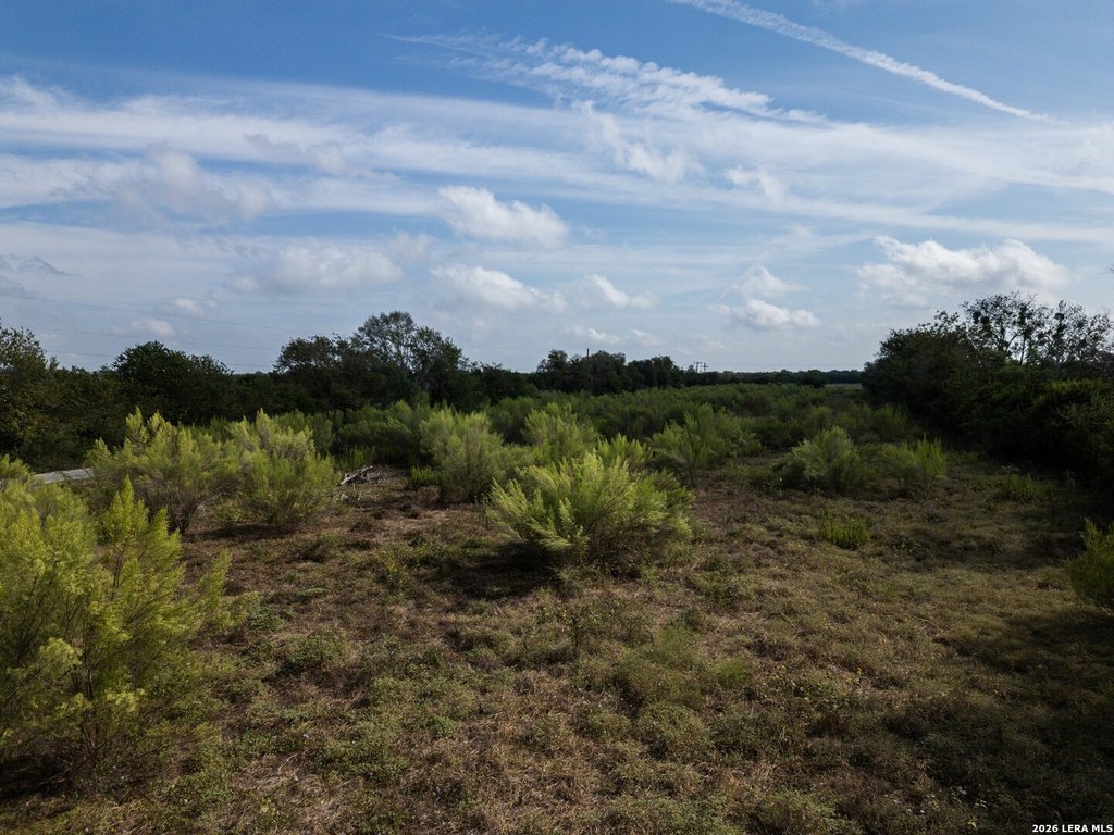 Picture 25