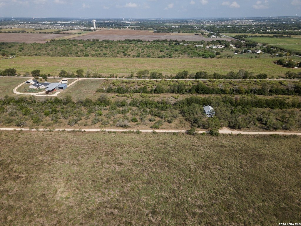 Picture 8