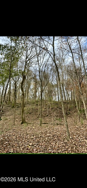 Picture 12