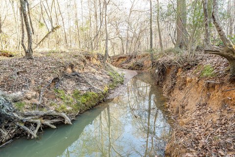 Recreational Hunting Land with Trails