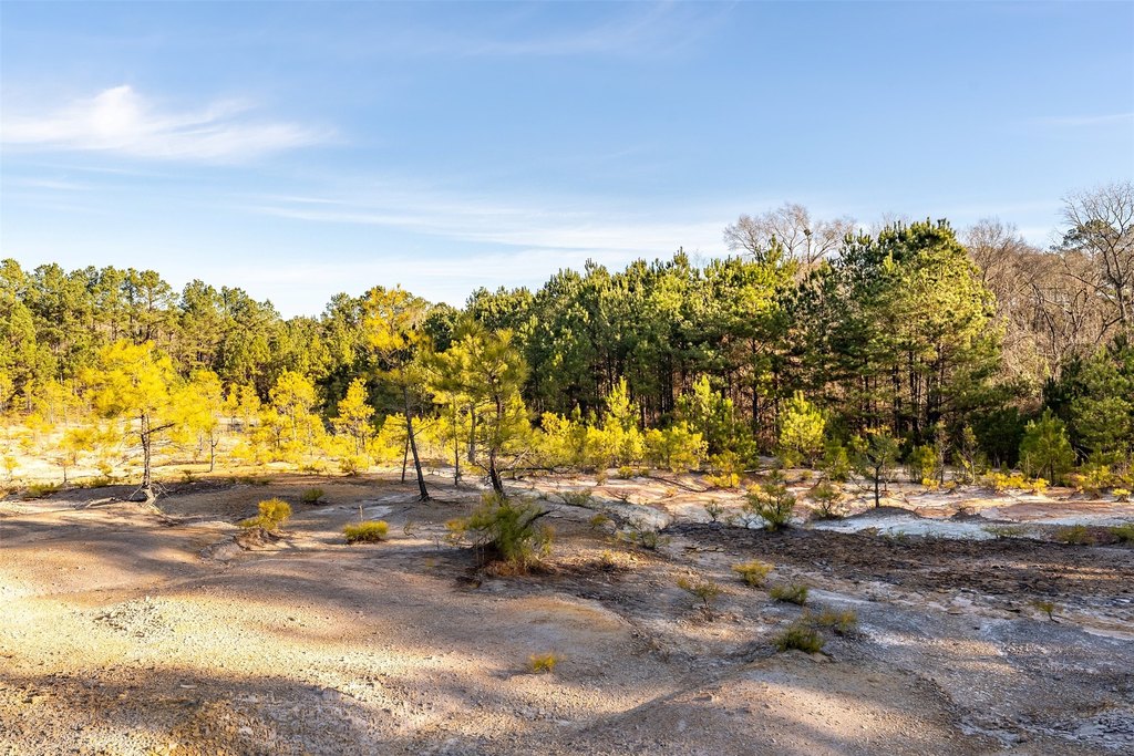 Picture 24