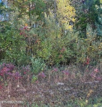 Unrestricted Land Near Tellico Village