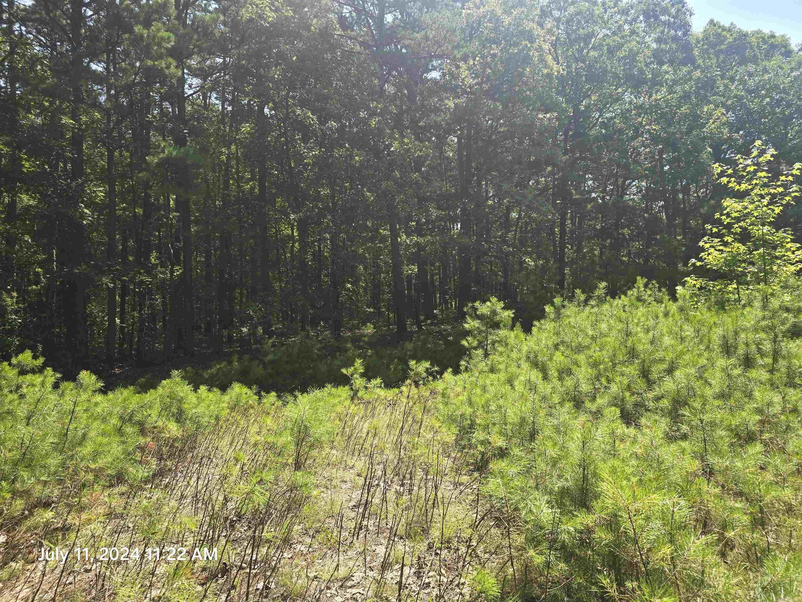 Residential Land in Fairfield Bay