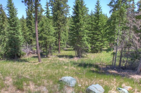 Wooded Mountain Home Site