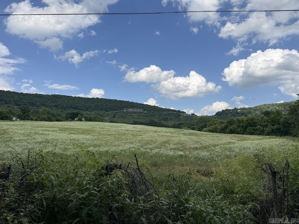 Picture 41