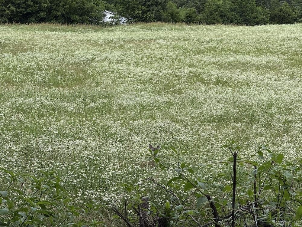 Picture 43