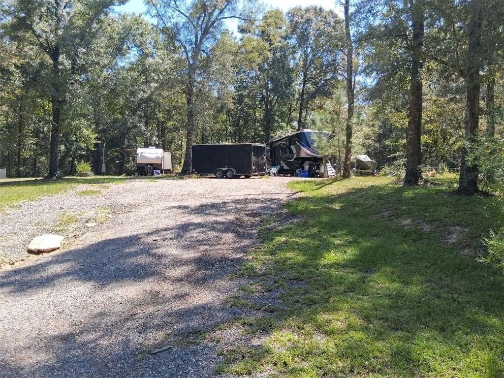 Picture 3
