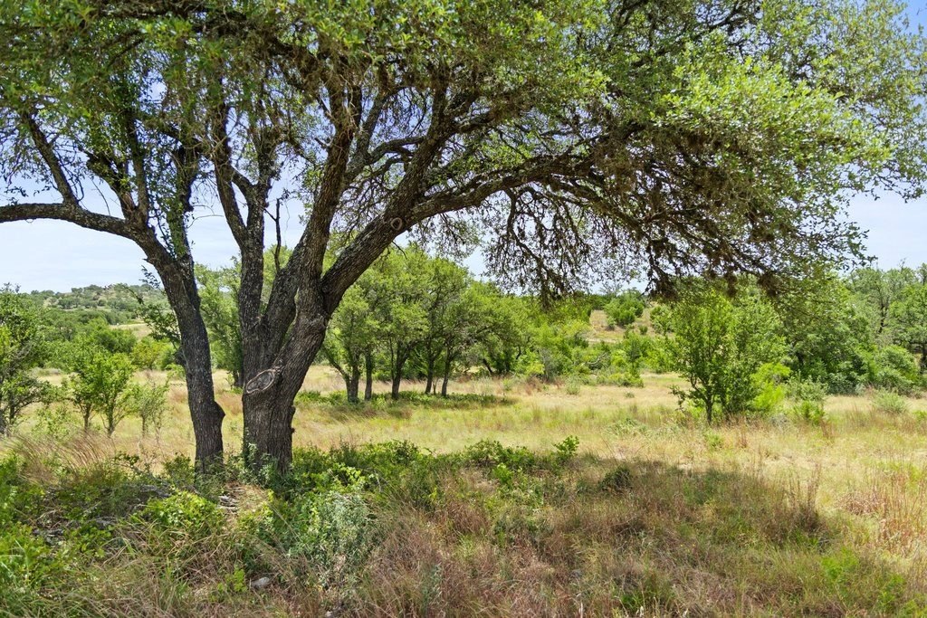 Picture 31