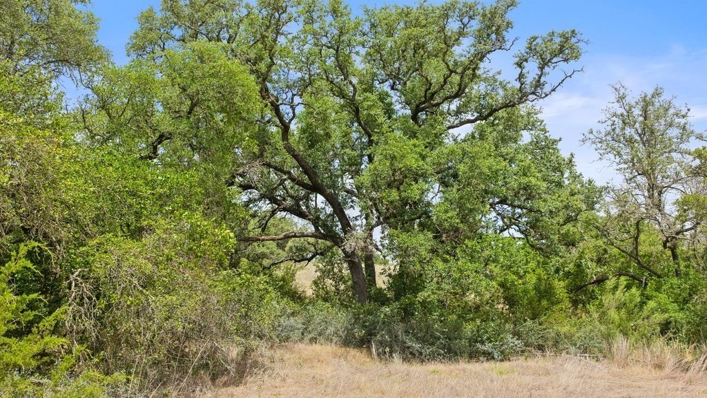 Picture 44