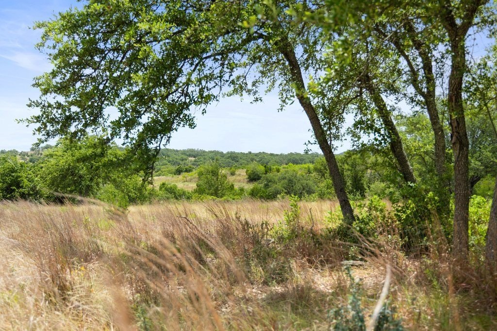 Picture 24