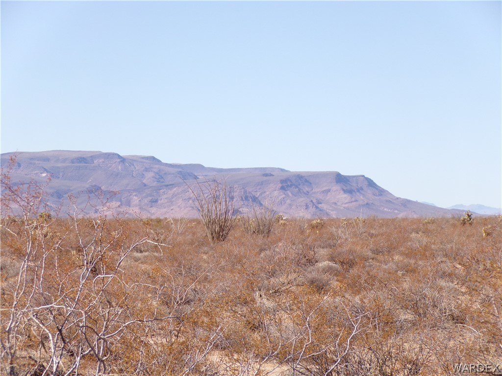 Picture 25