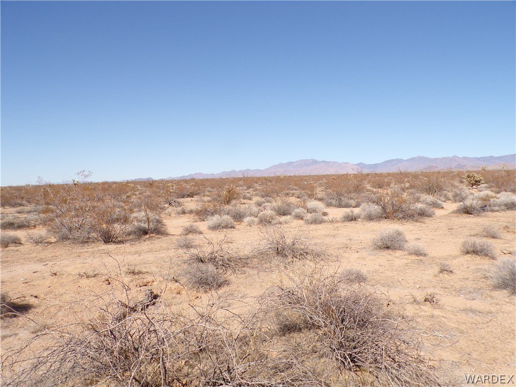 Picture 19