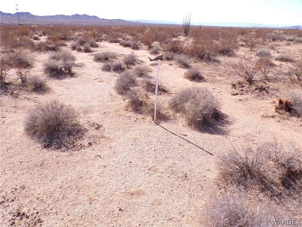 Picture 21