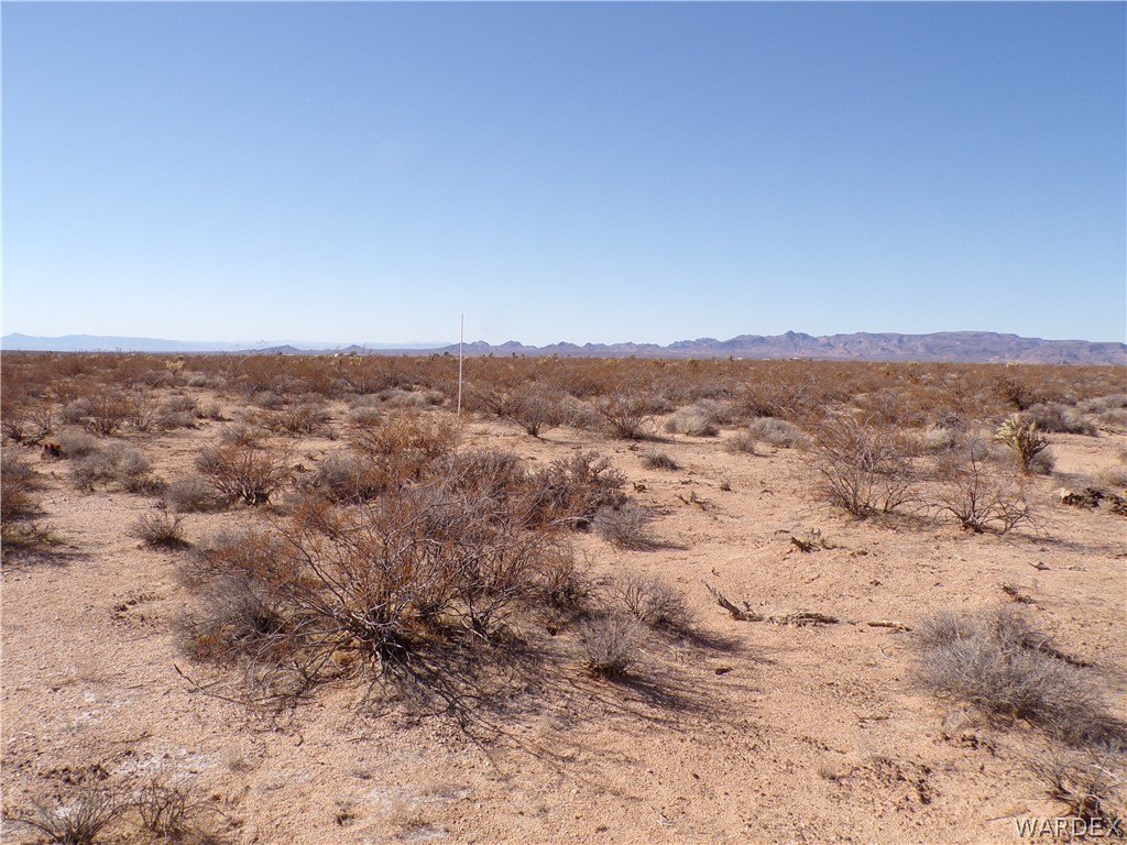 Picture 20