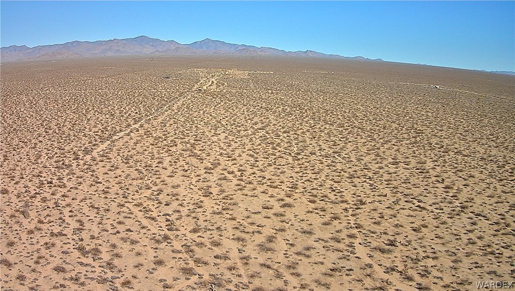 Picture 29