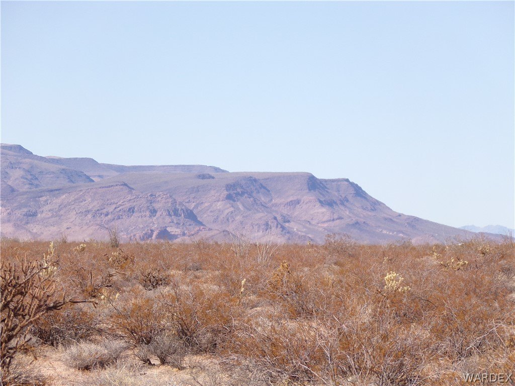 Picture 8