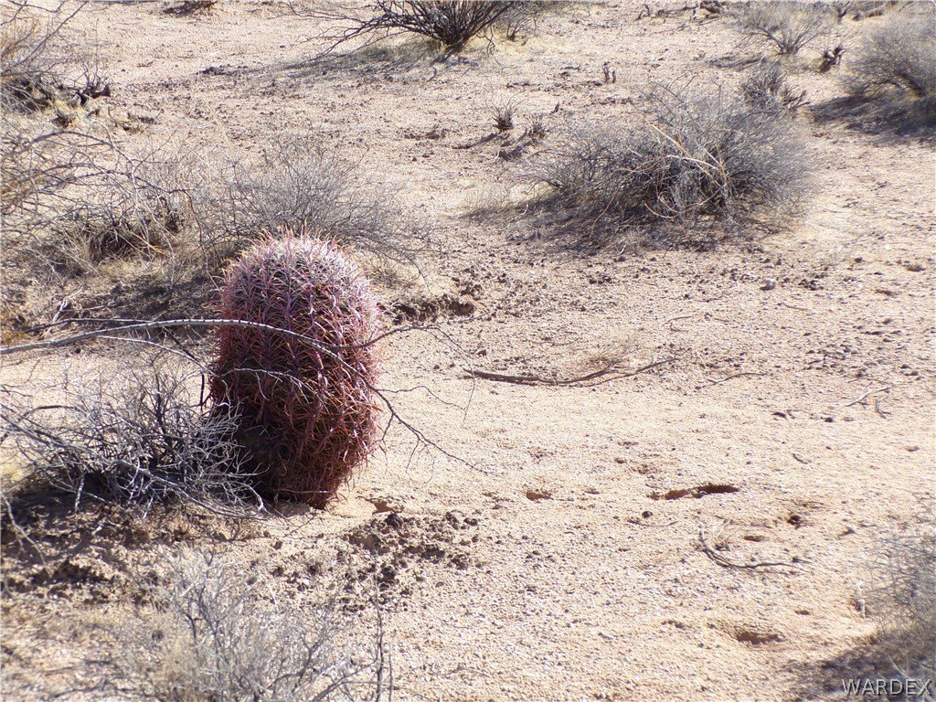Picture 22